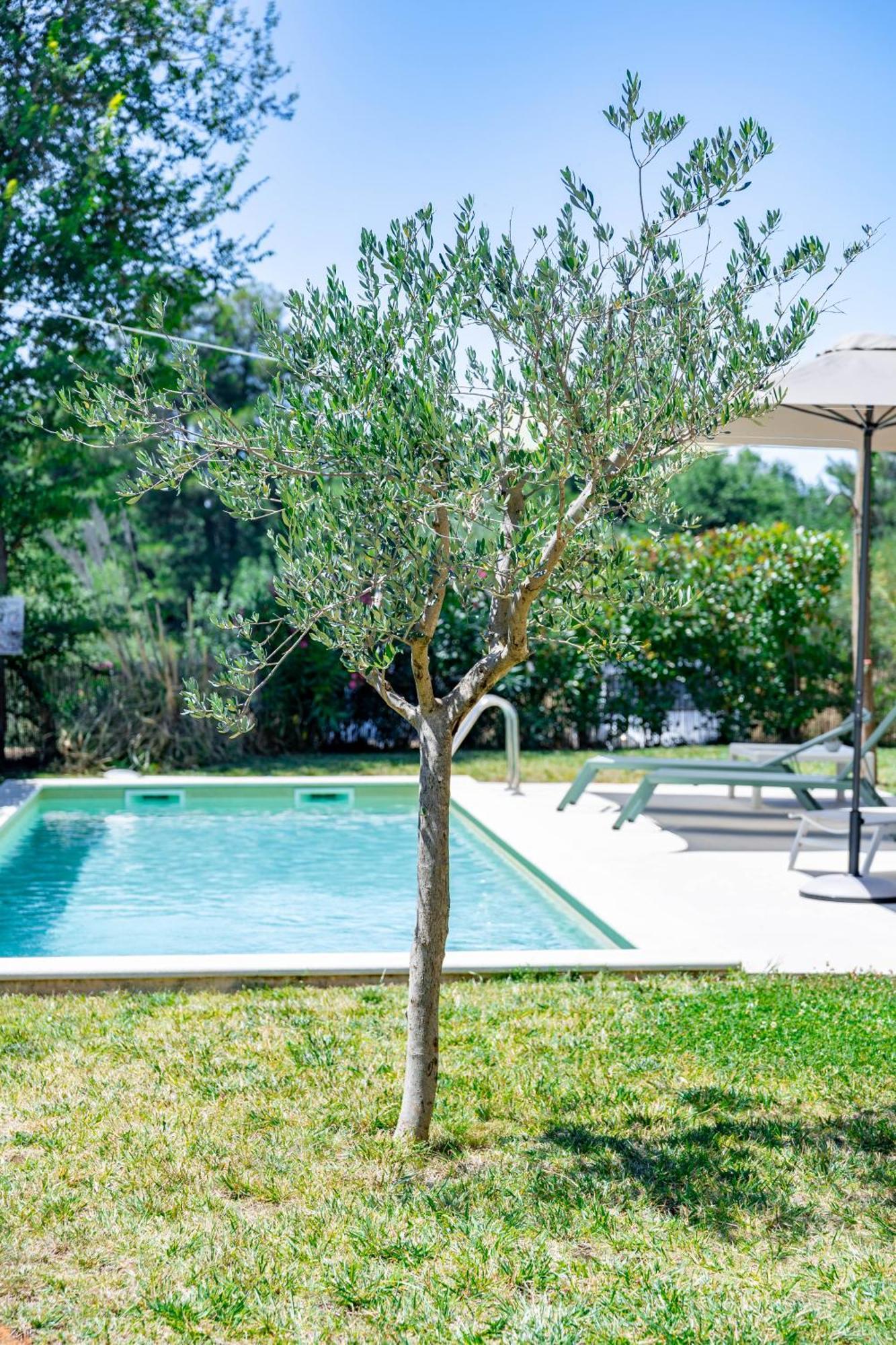 Villa Zen - With Pool & Close To The Sea Tar-Vabriga Exterior foto